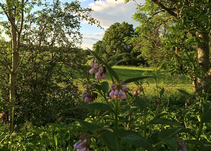 Hågadalens Hostel&Vandrarhem Uppsala